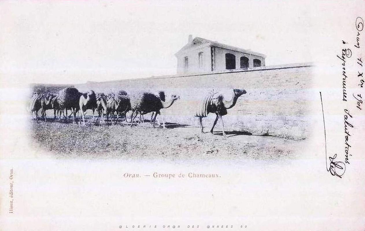 Cartes postales 1901- 1902- 007.jpg
